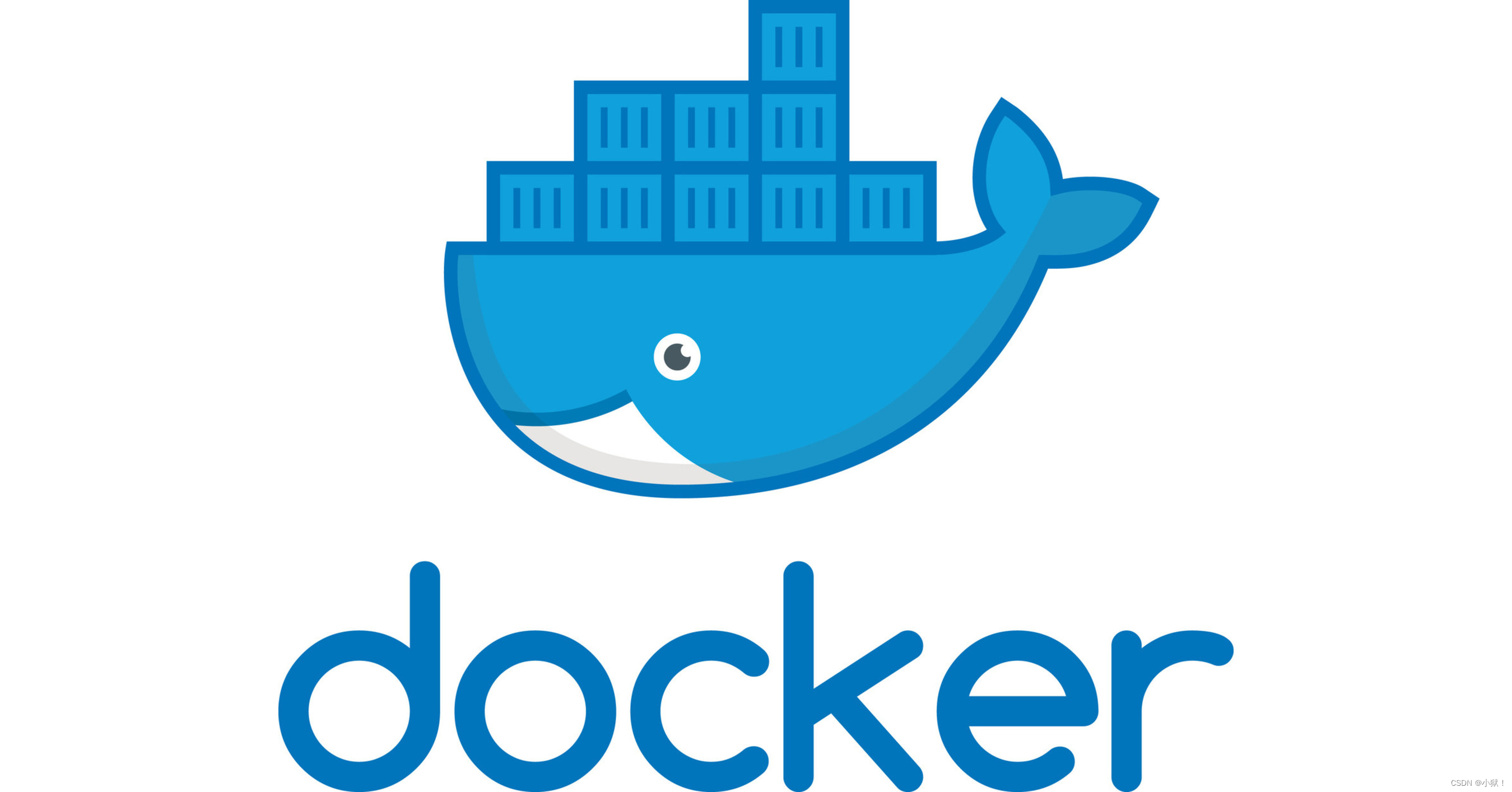 Docker中搭建独立图片服务器的完整指南