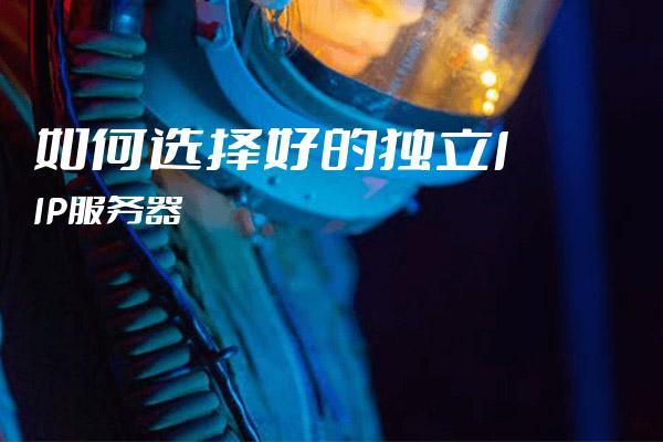 独立IP服务器购买指南：选择与优化的最佳实践插图