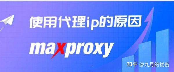 海外代理 IP 在各领域的实际使用案例分析