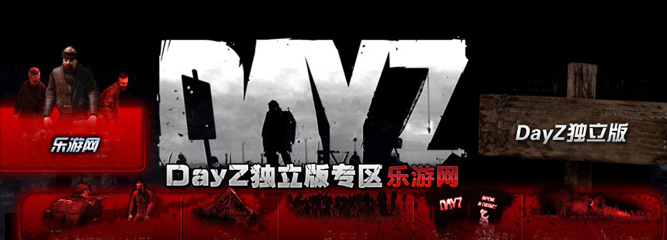 DayZ独立版正版服务器指南：全面了解与优化建议