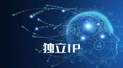 深入了解非独立 IP 服务器的优势与局限