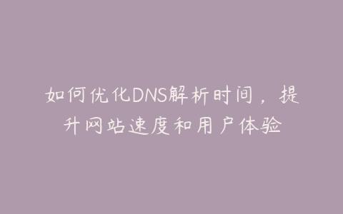 全面解析DNS高防服务器：提升网站安全与稳定性