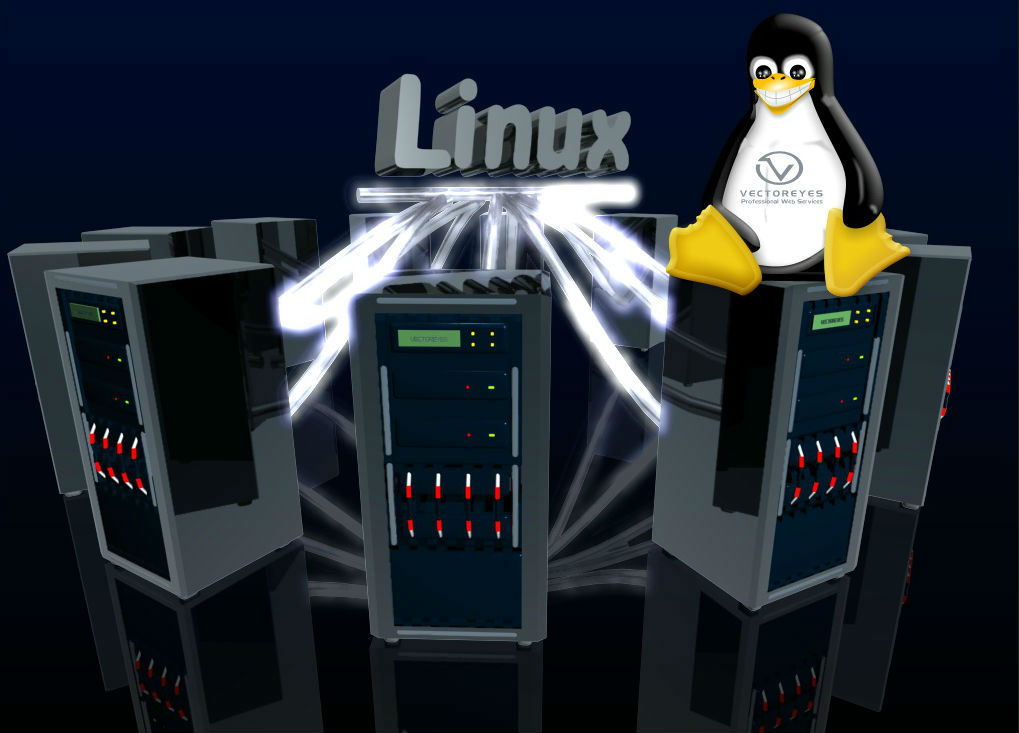 Linux独立服务器配置指南