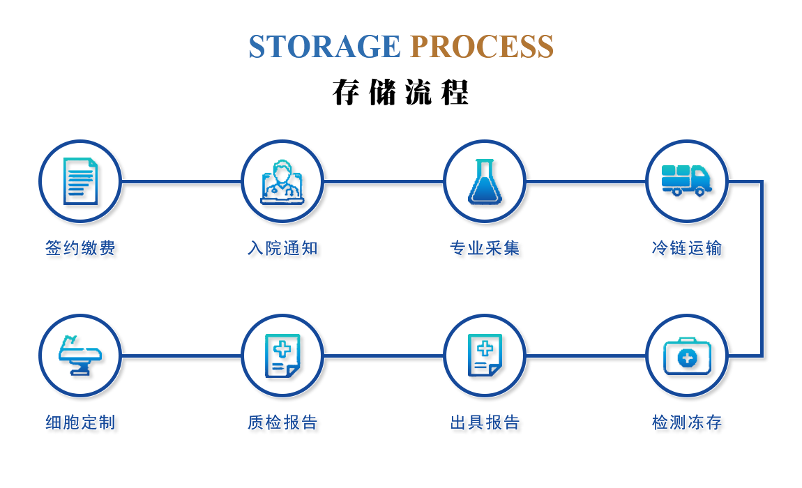 数据存储解决方案：如何为您的企业选择最佳解决方案