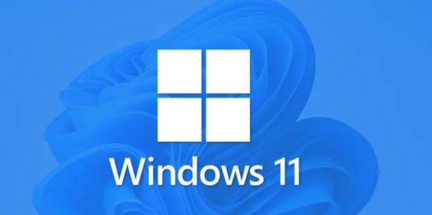 Win11浏览器输入框无法输入的原因及解决方法